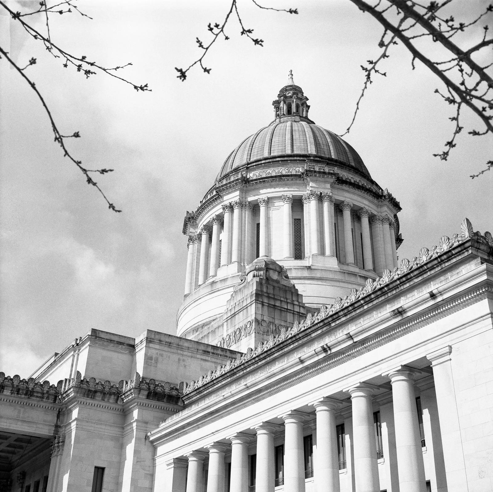 Washington State Capitol, 2018. Mamiya 6 and Ilford HP5+.