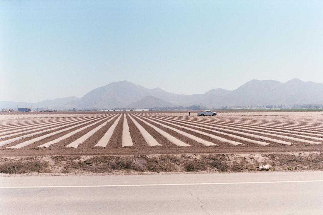An expanse of fields just south of Pleasant Valley Rd, the at-the-time boundary of development. Camarillo. 2017.