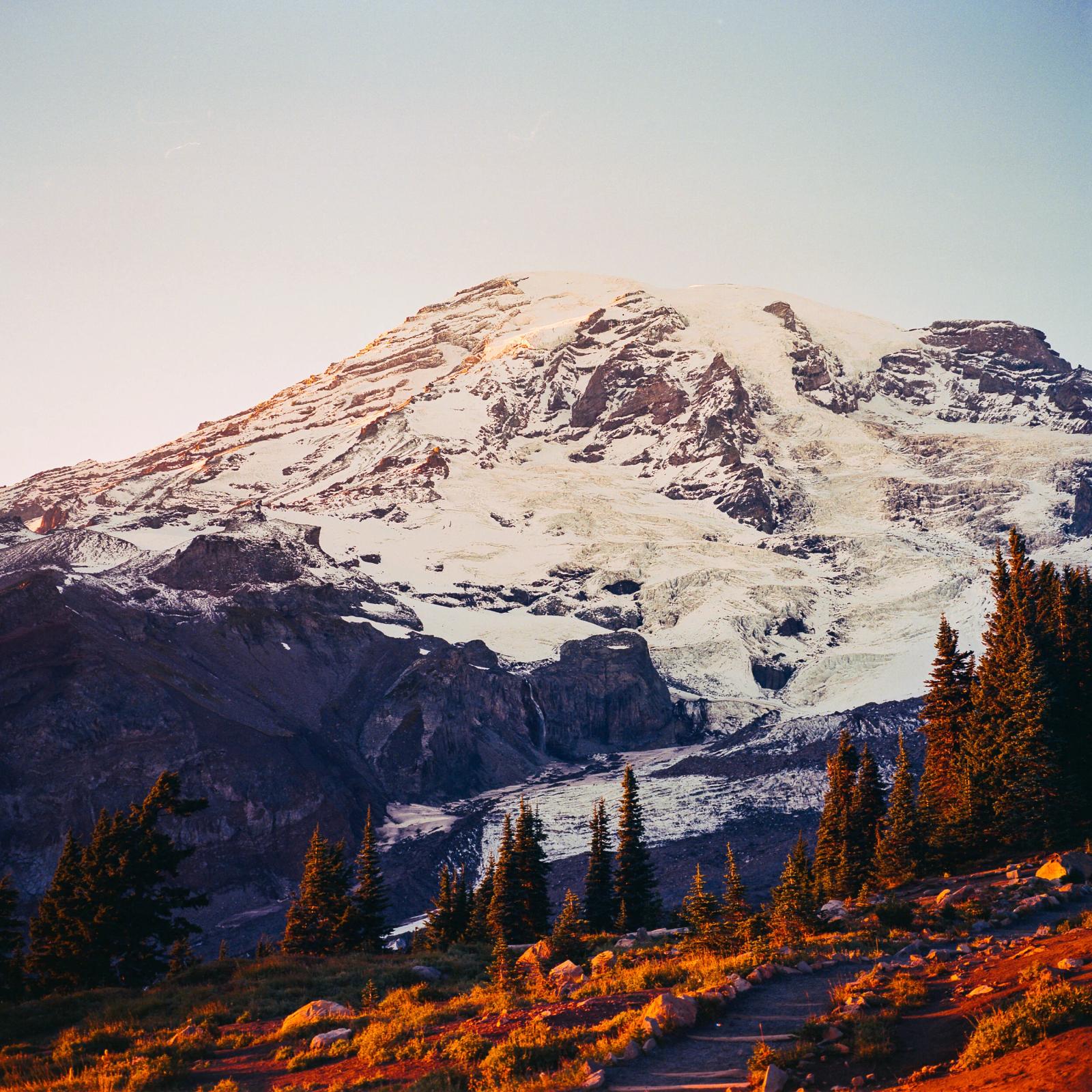 Paradise, Mt. Rainier, WA, 2020. Mamiya 6 and Kodak Portra 400.