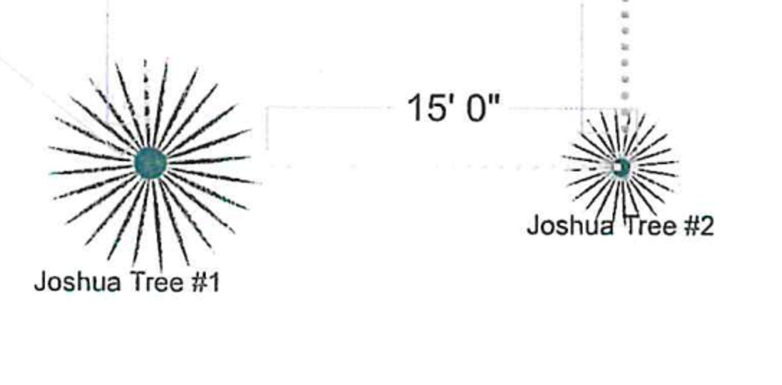 The Joshua Tree Report