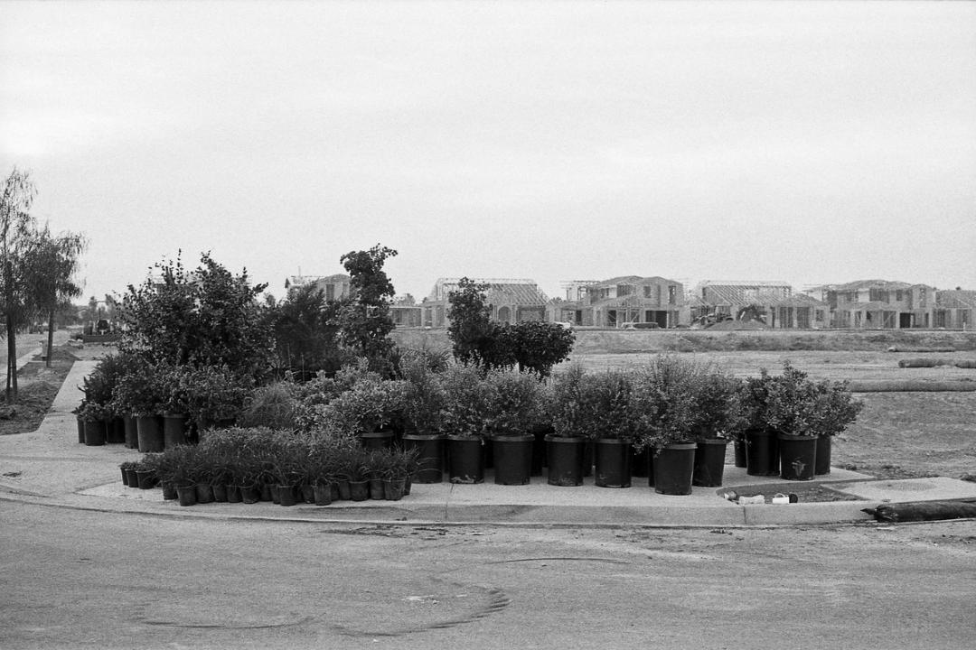 Village at the Park. 2014.