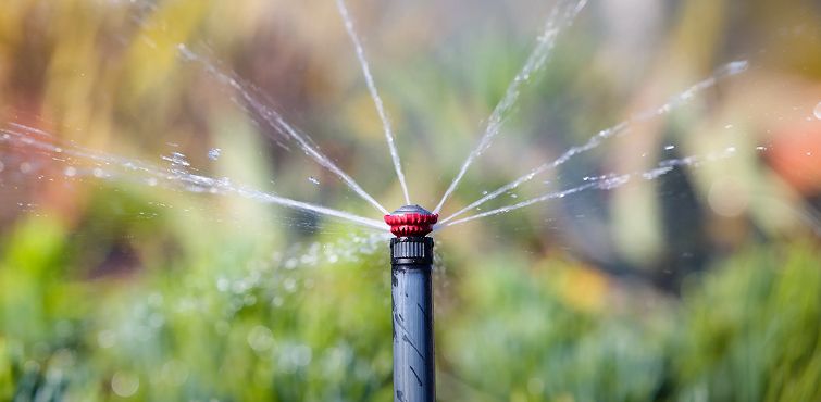 Rain Bird Rotary Nozzles | Rachio
