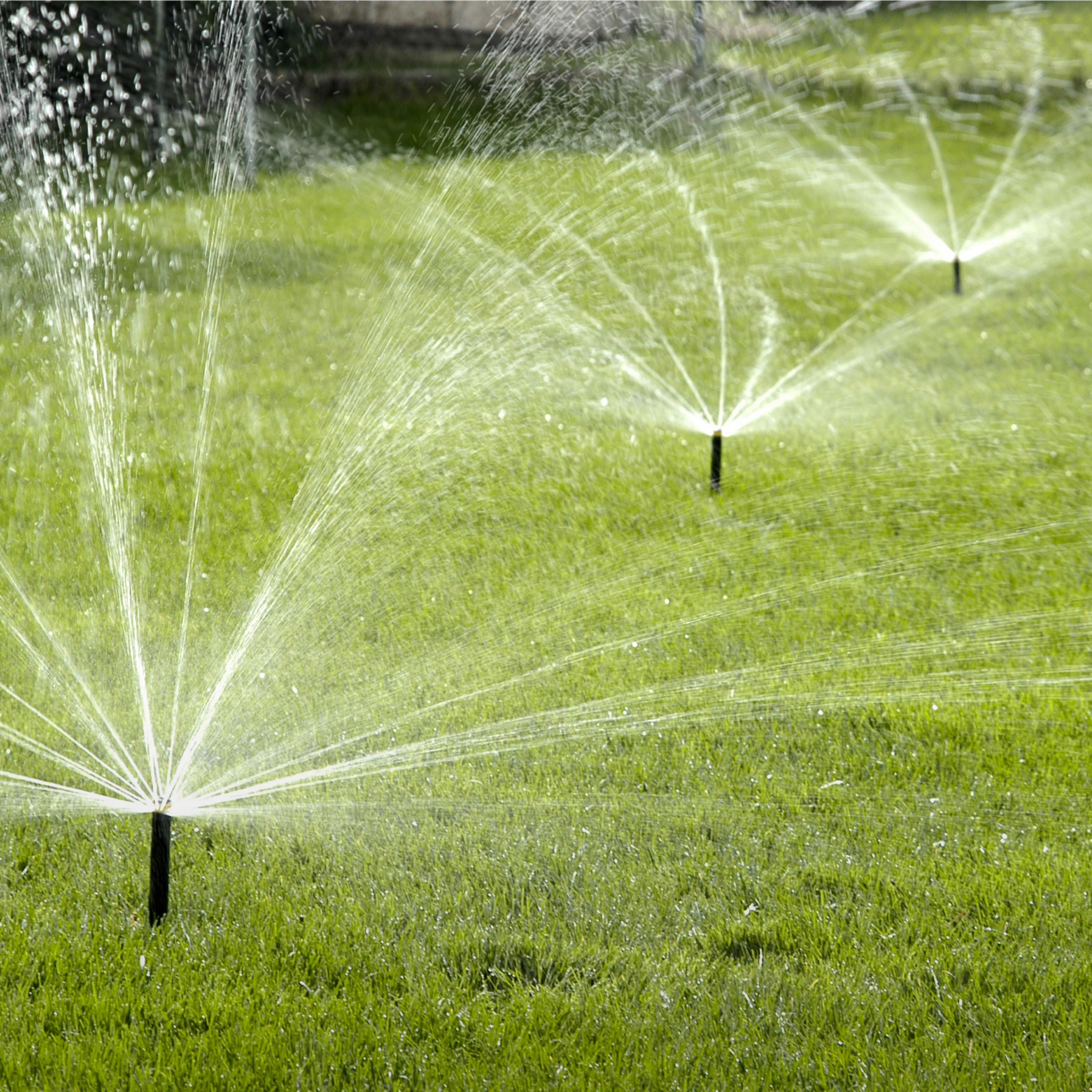 Yard with Rotary Nozzles