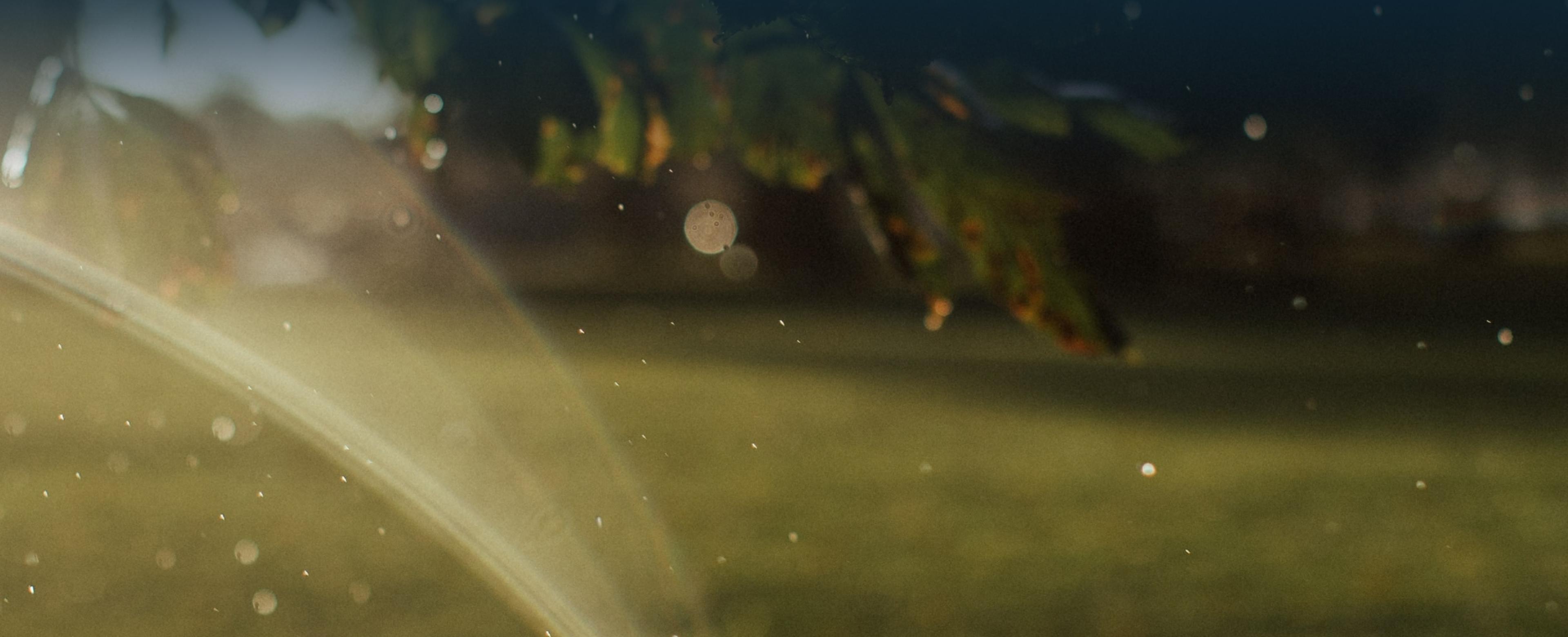 bokeh sprinkler