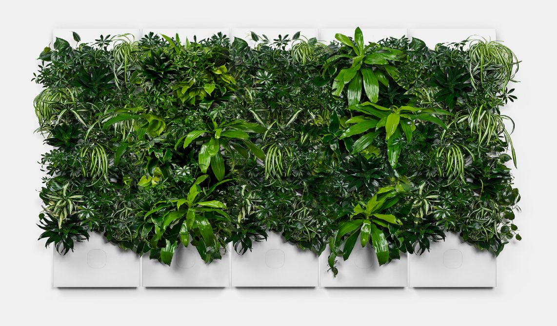 Biome Taiga Smart Living Wall | Rachio