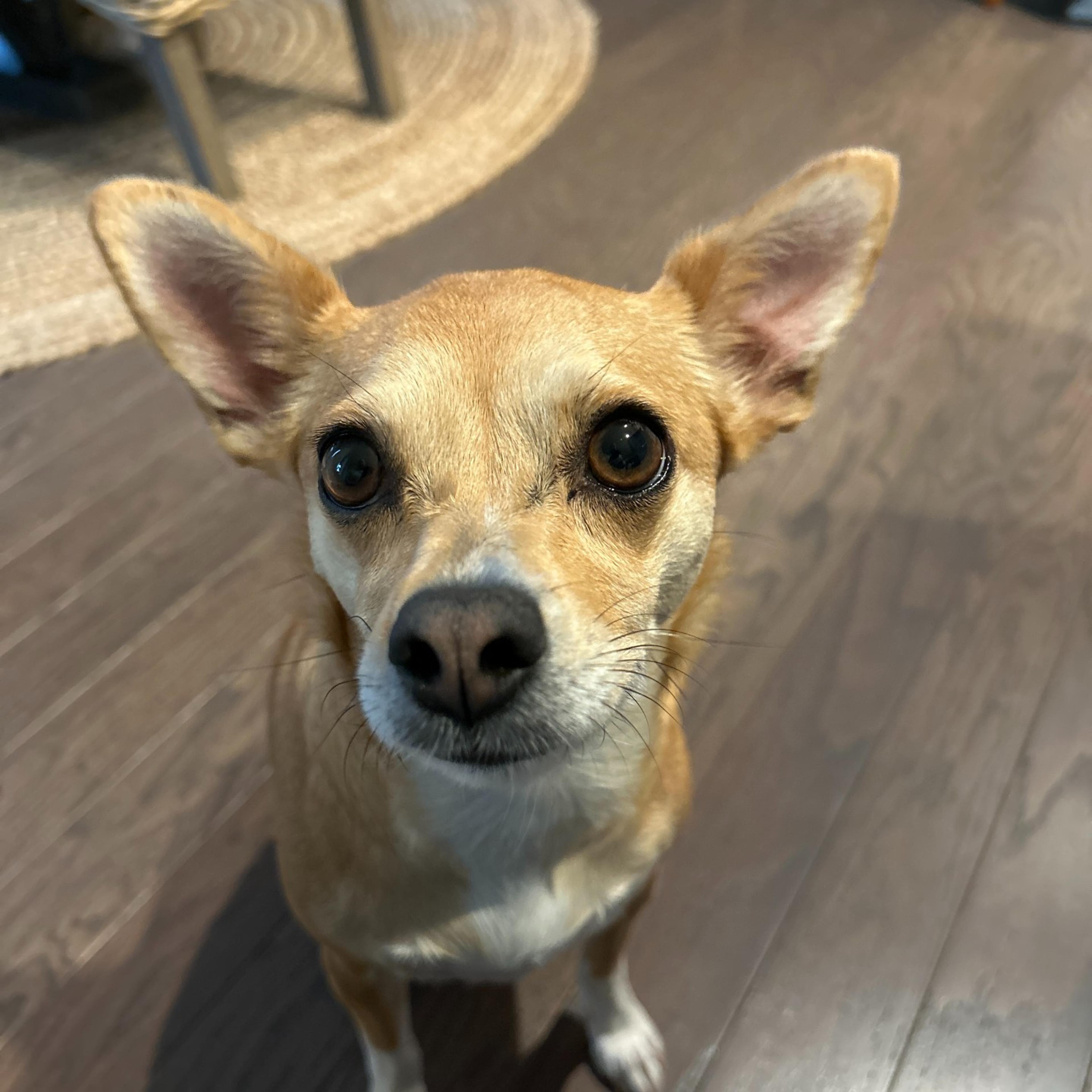 Customer Jeff headshot