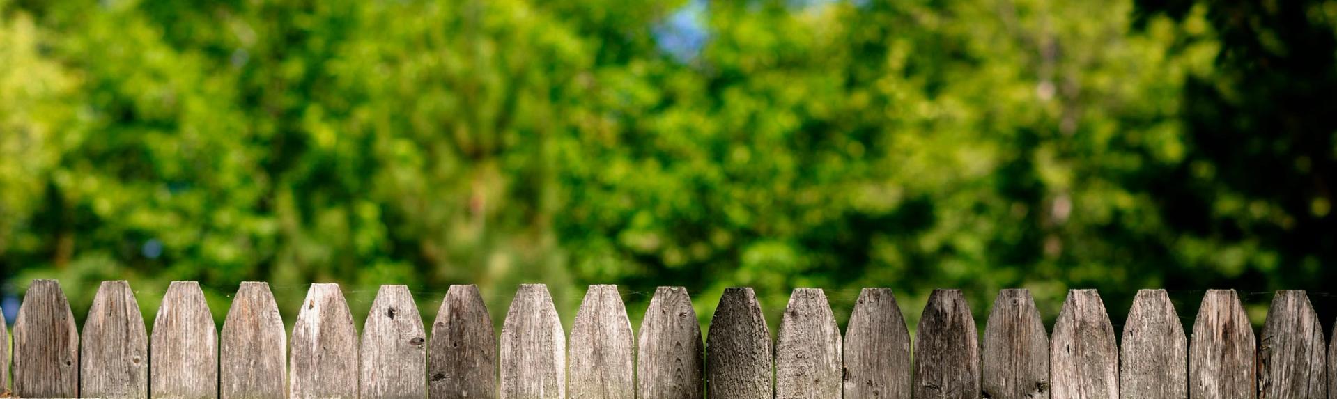 Fence with trees in the background