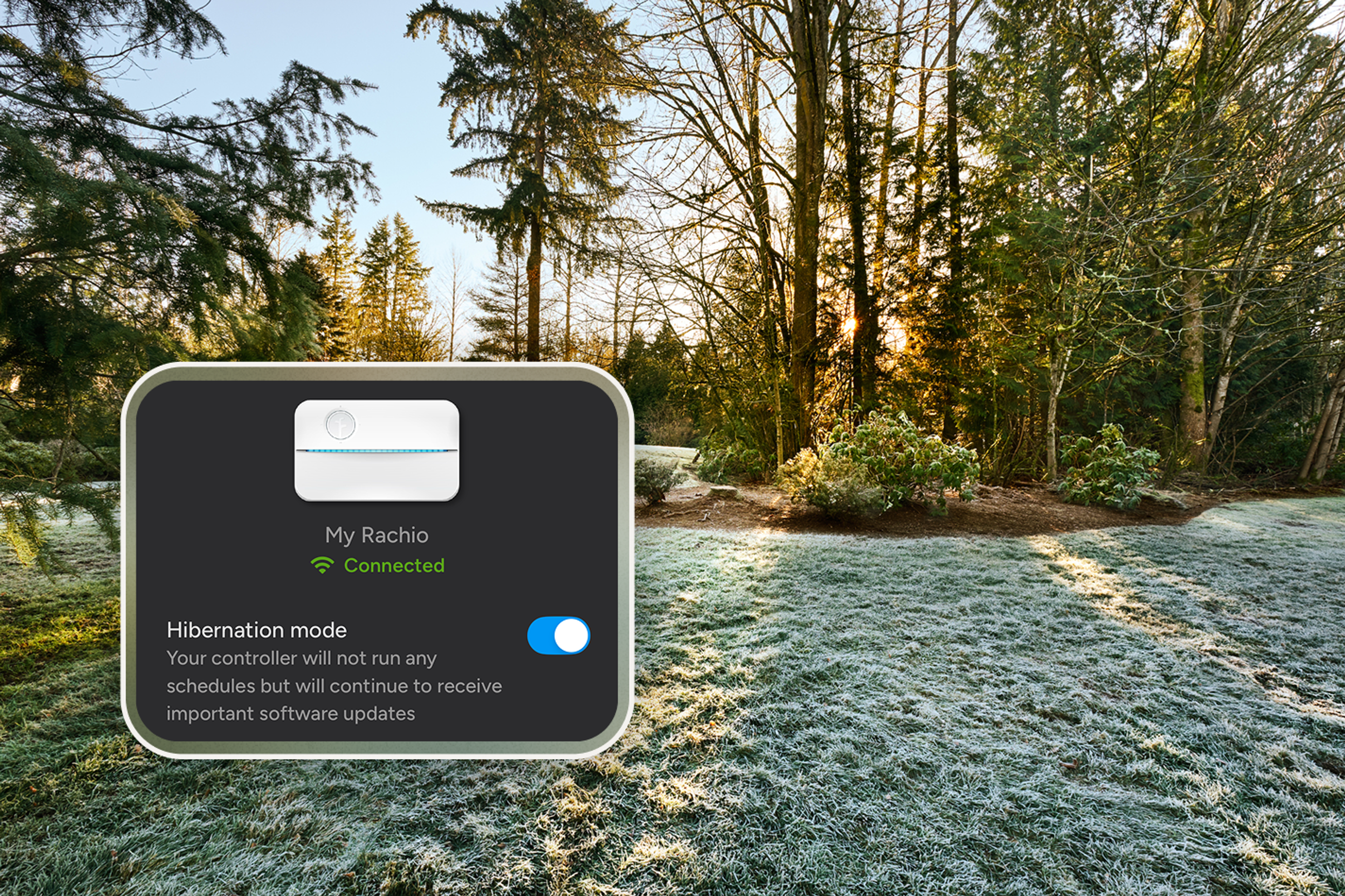 Grass with frost in morning light with screenshot of Rachio App with Hibernation Mode enabled on the controller settings screen.