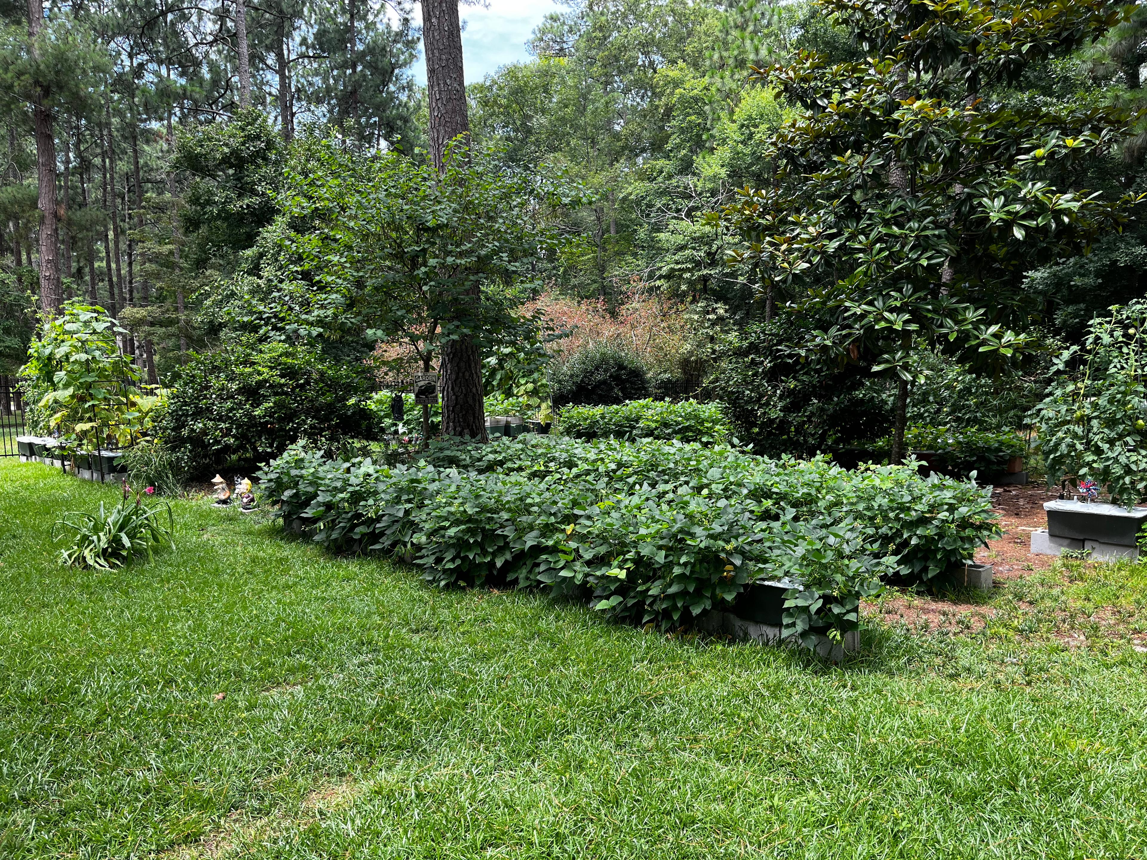 Kim customer story media thumbnail