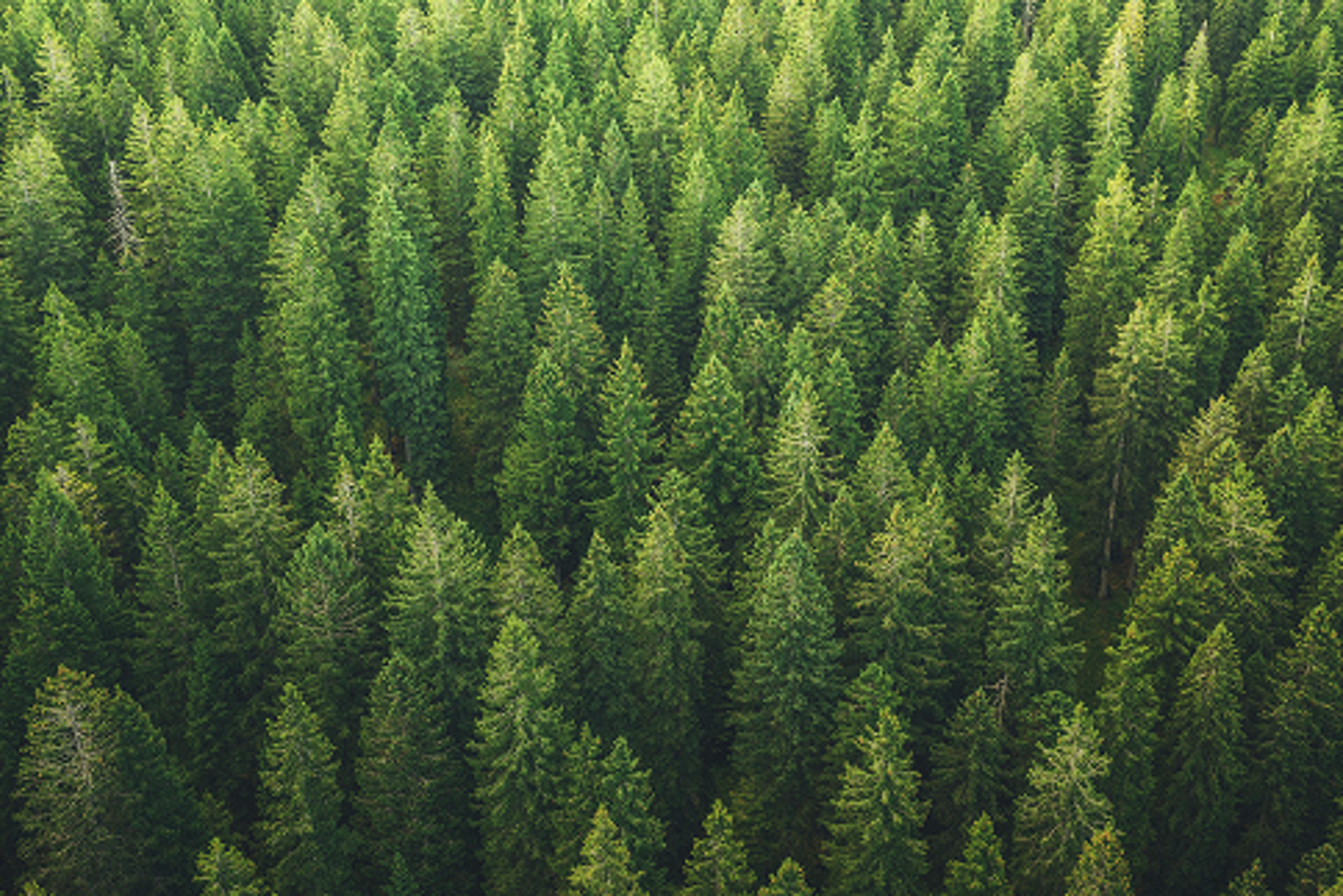 Smart for the Planet