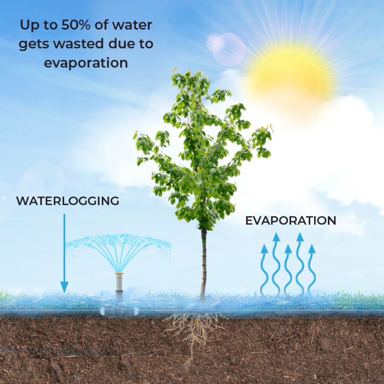 Water Conservation Root Quencher