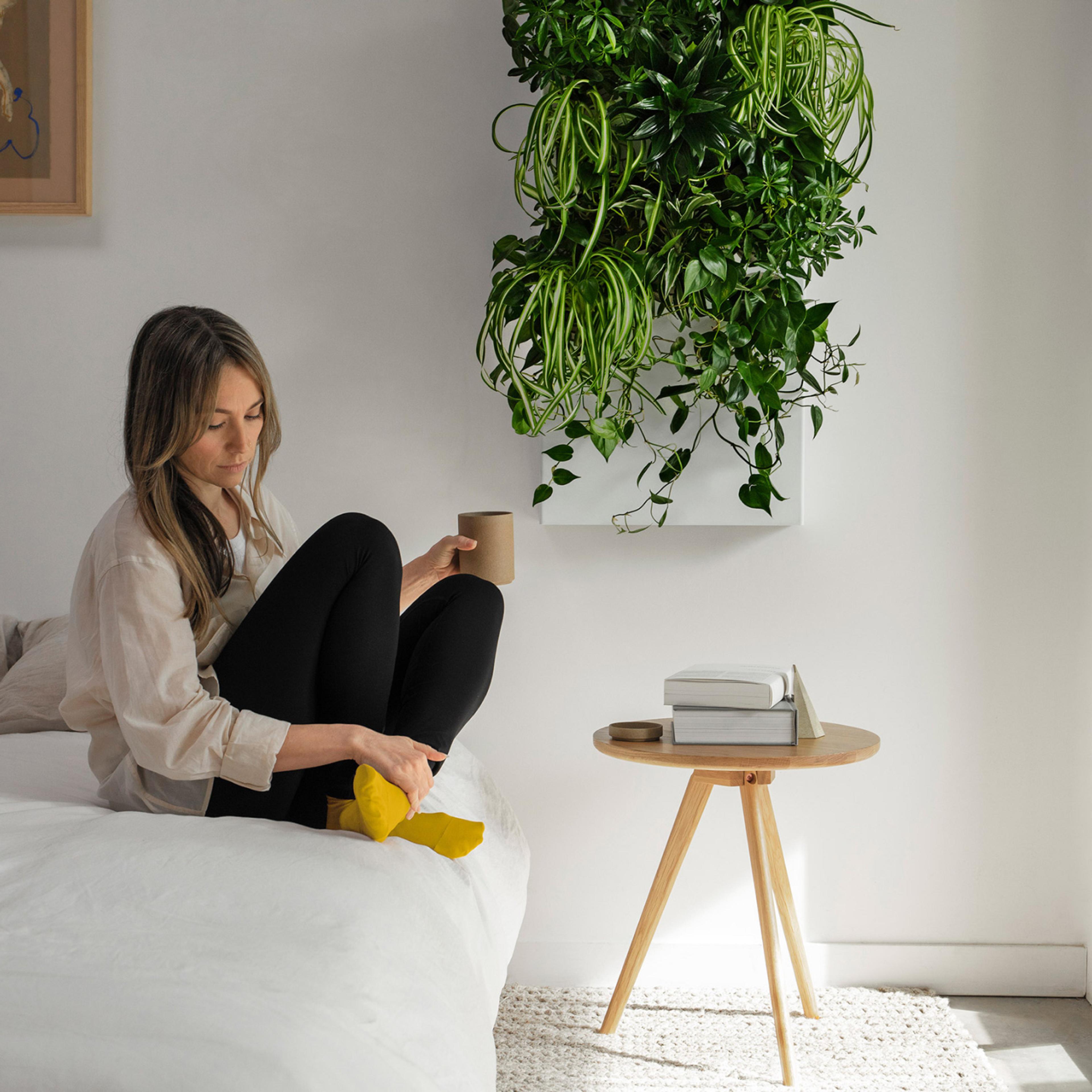 Woman sitting on couch next to Taiga Plant Wall