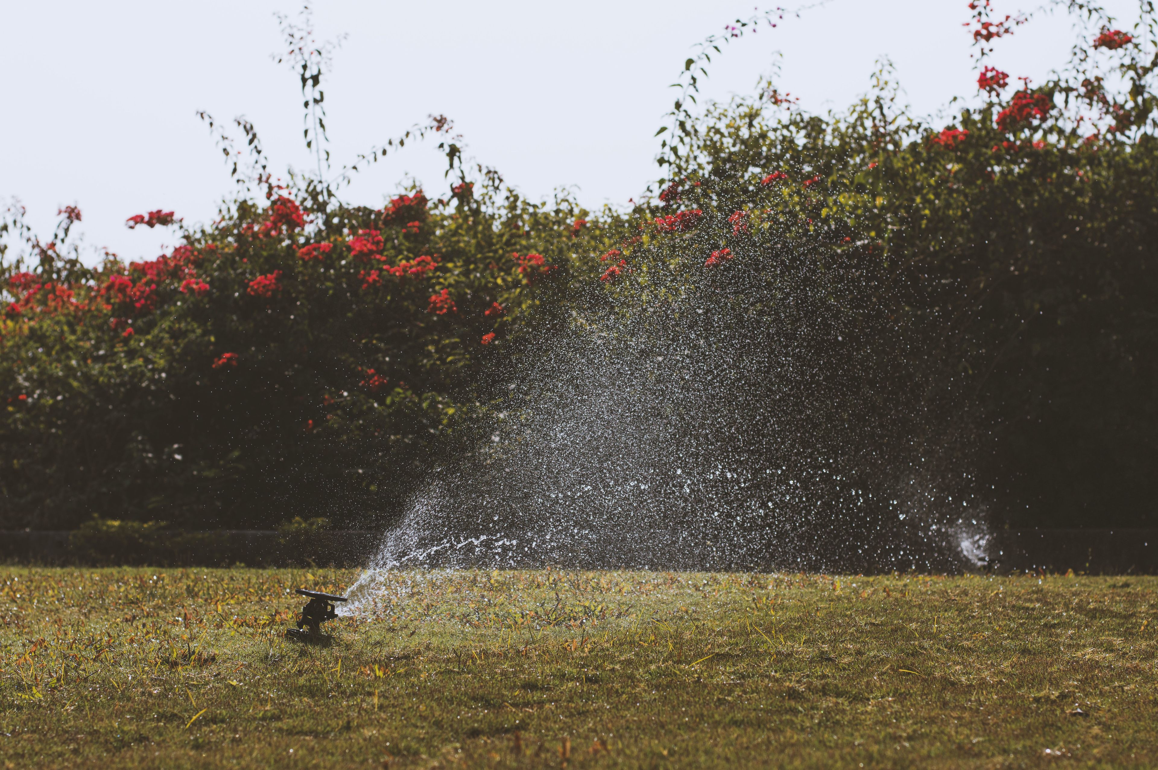 How do sprinkler systems work? | Rachio