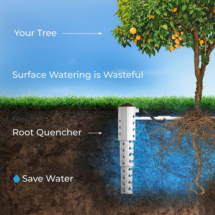 Root quencher connectivity