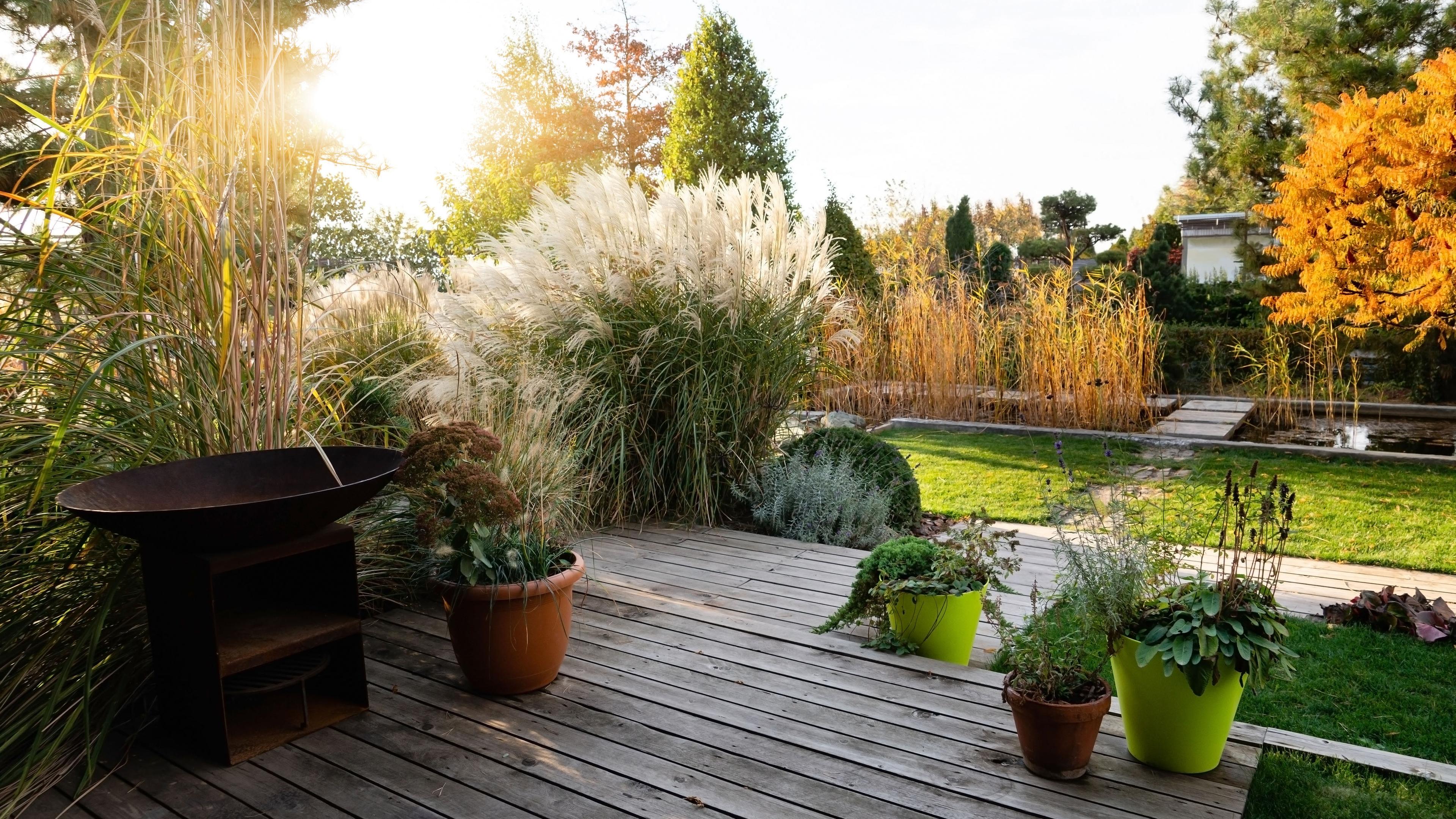 Backyard with a variety of images