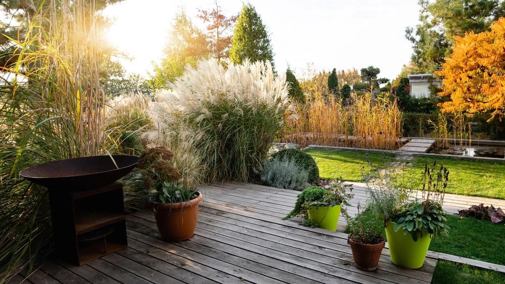 Backyard with a variety of images