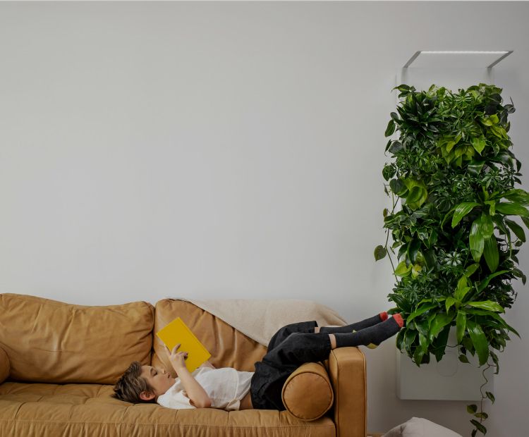 Biome Taiga Smart Living Wall | Rachio