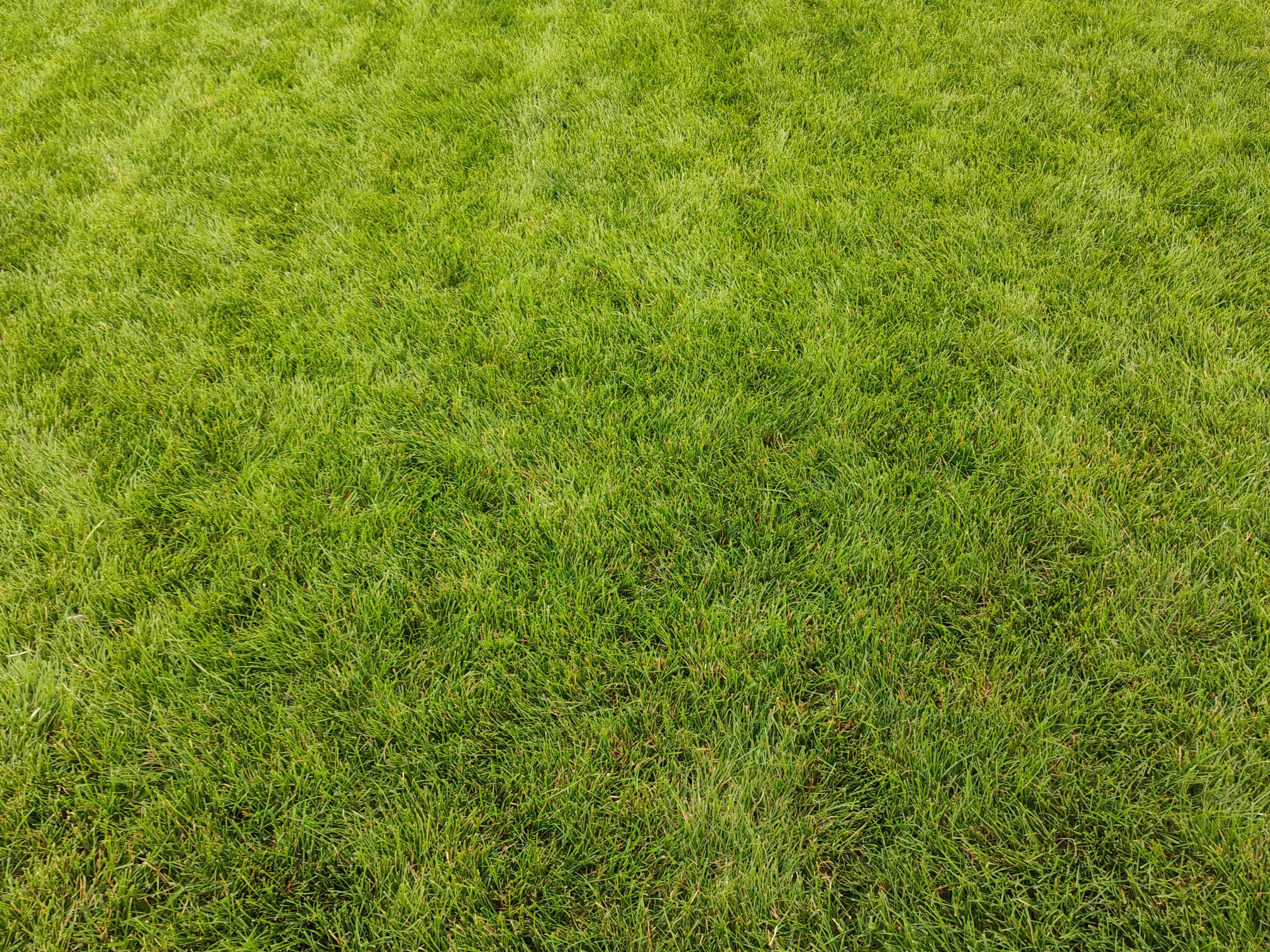 Shane customer story media thumbnail