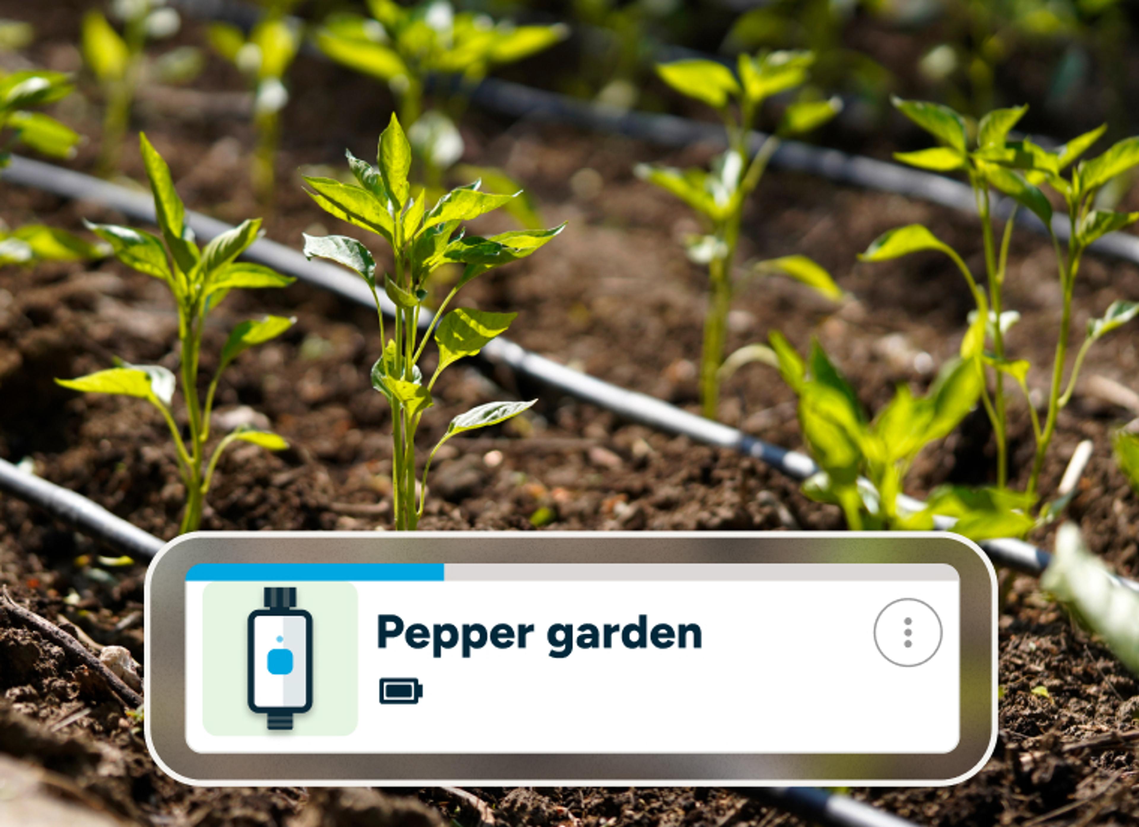 Smart Hose Timer