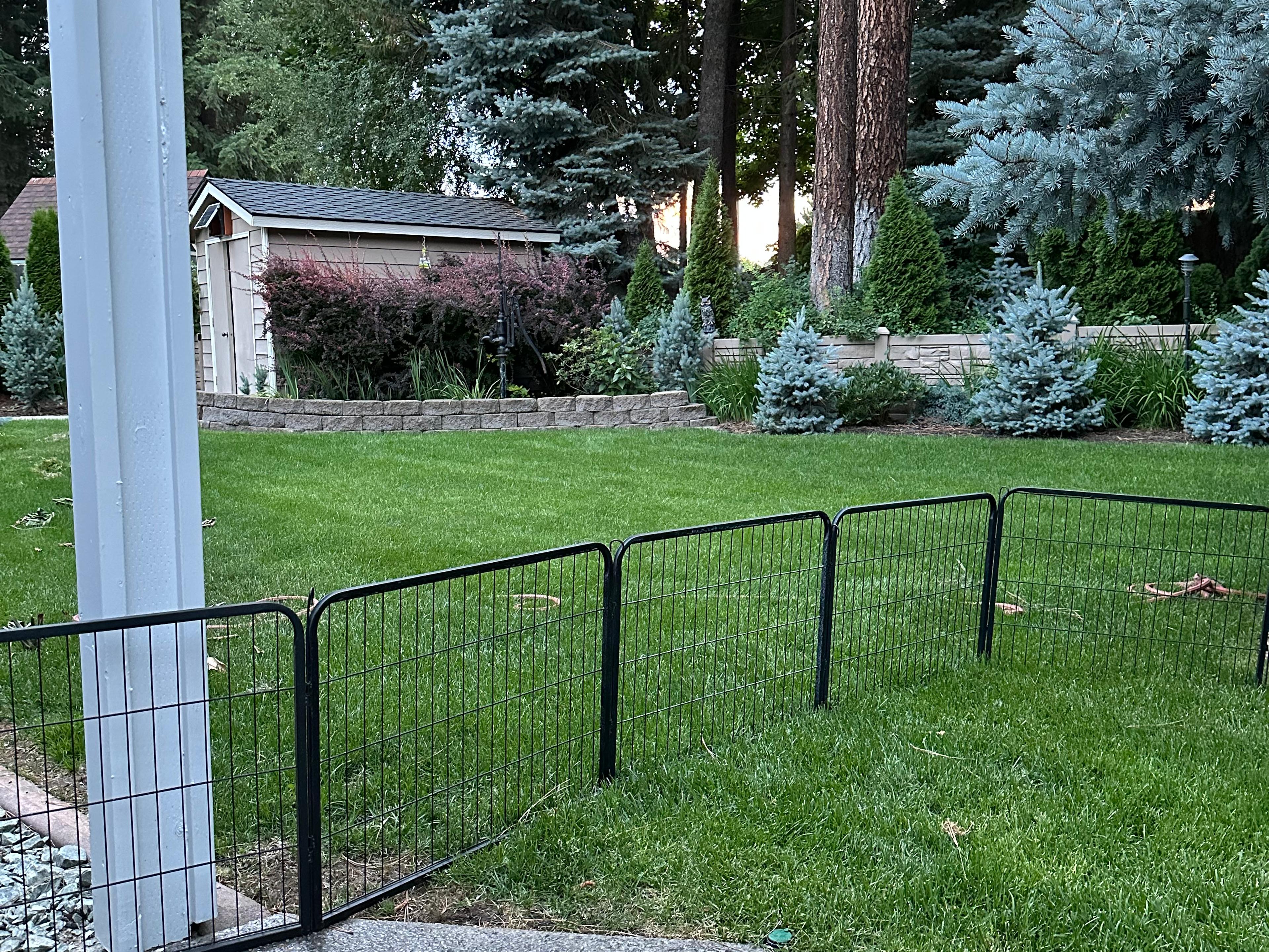 Craig customer story media thumbnail