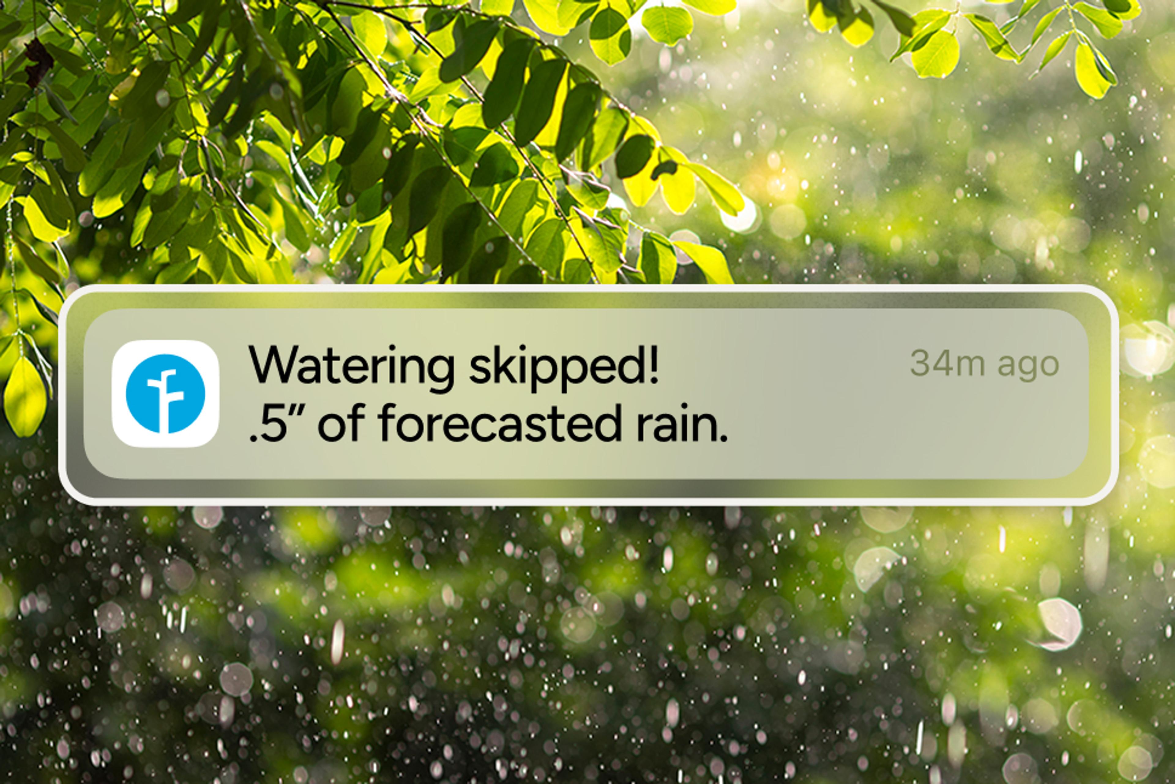 Won't water in the rain