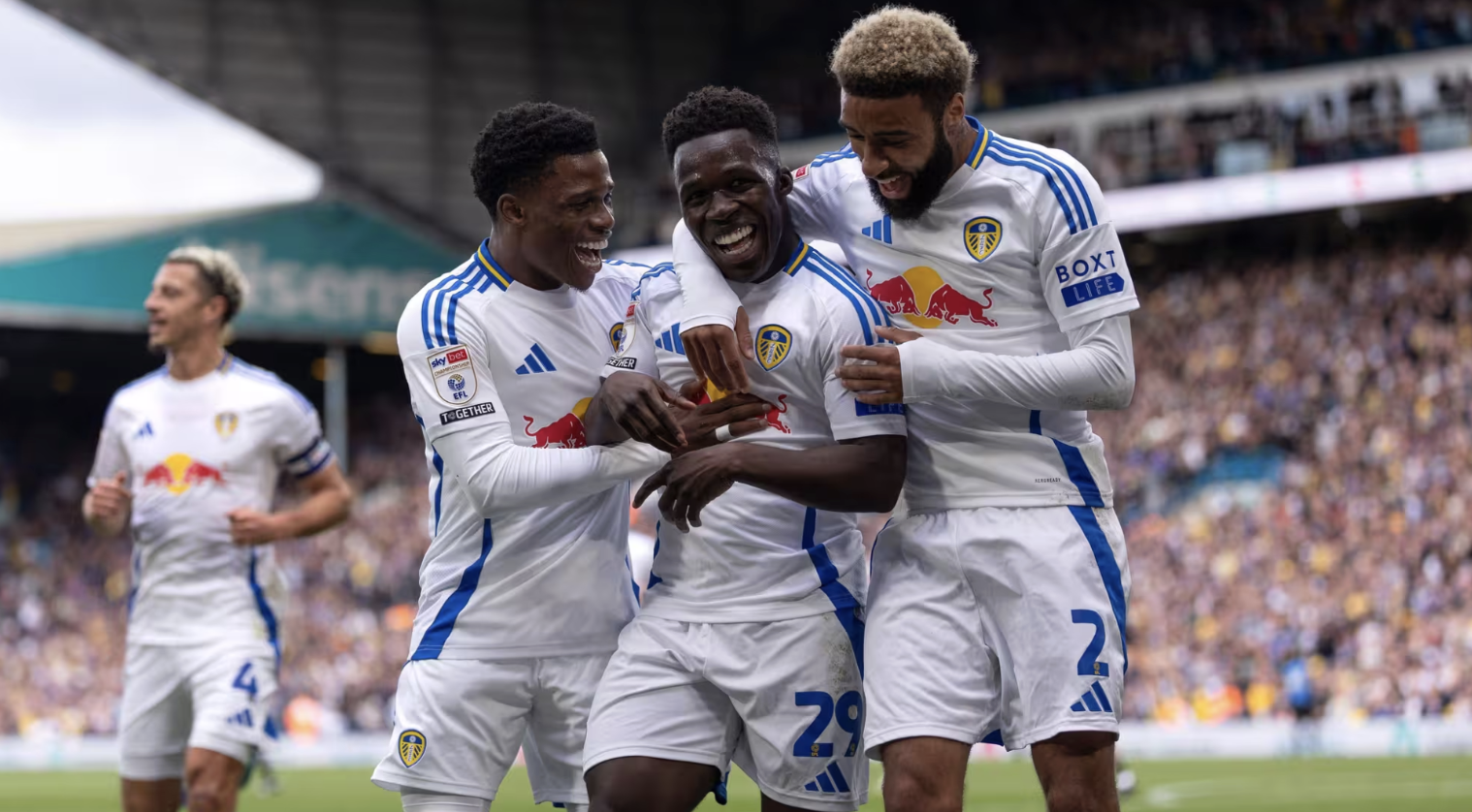 Leeds United - A decorative image from Usal Project