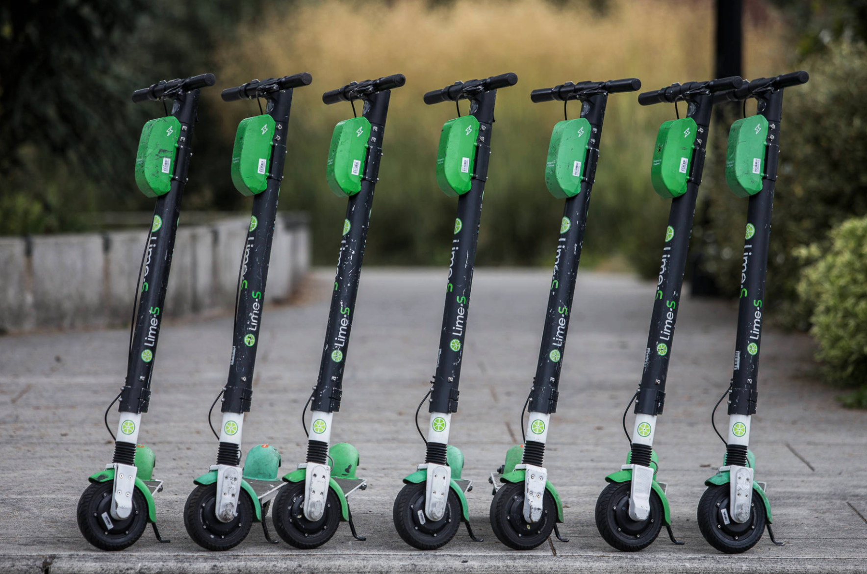 Lime - A decorative image from Usal Project