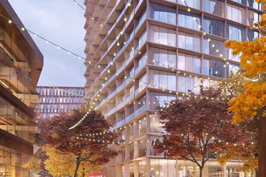 A decorative image from Usal Project