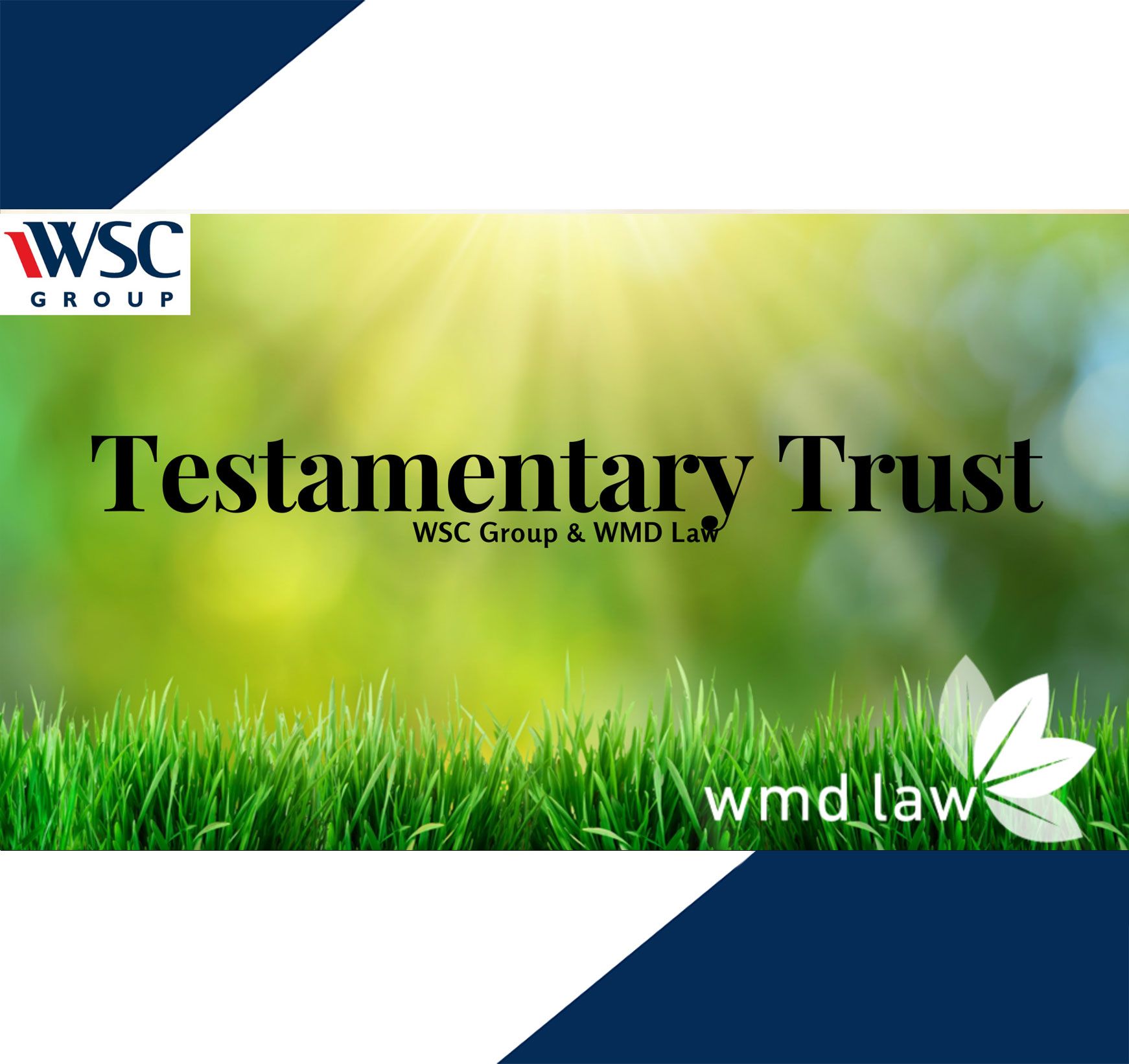 Testamentary Trust