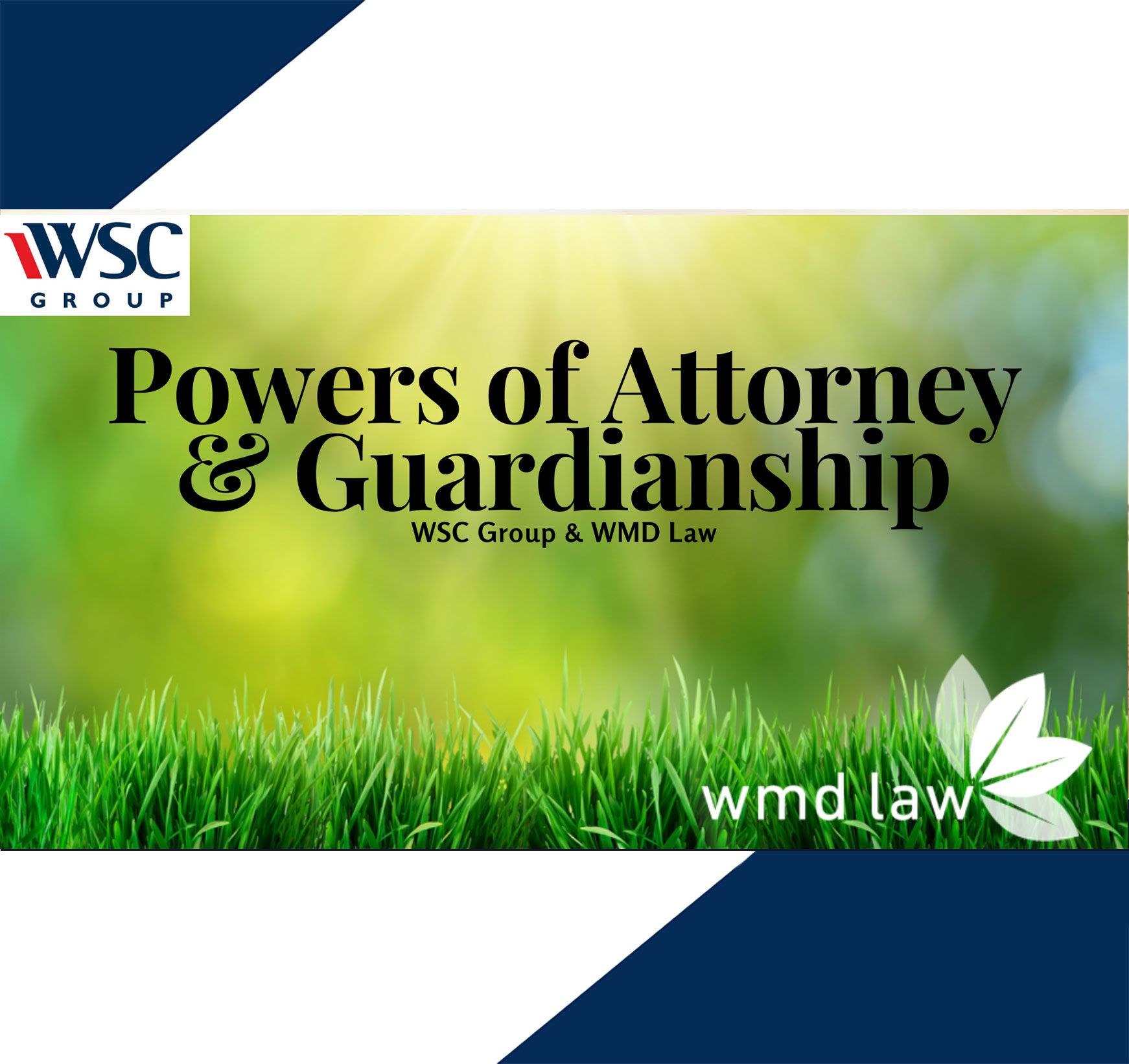 Powers of Attorney & Guardianship