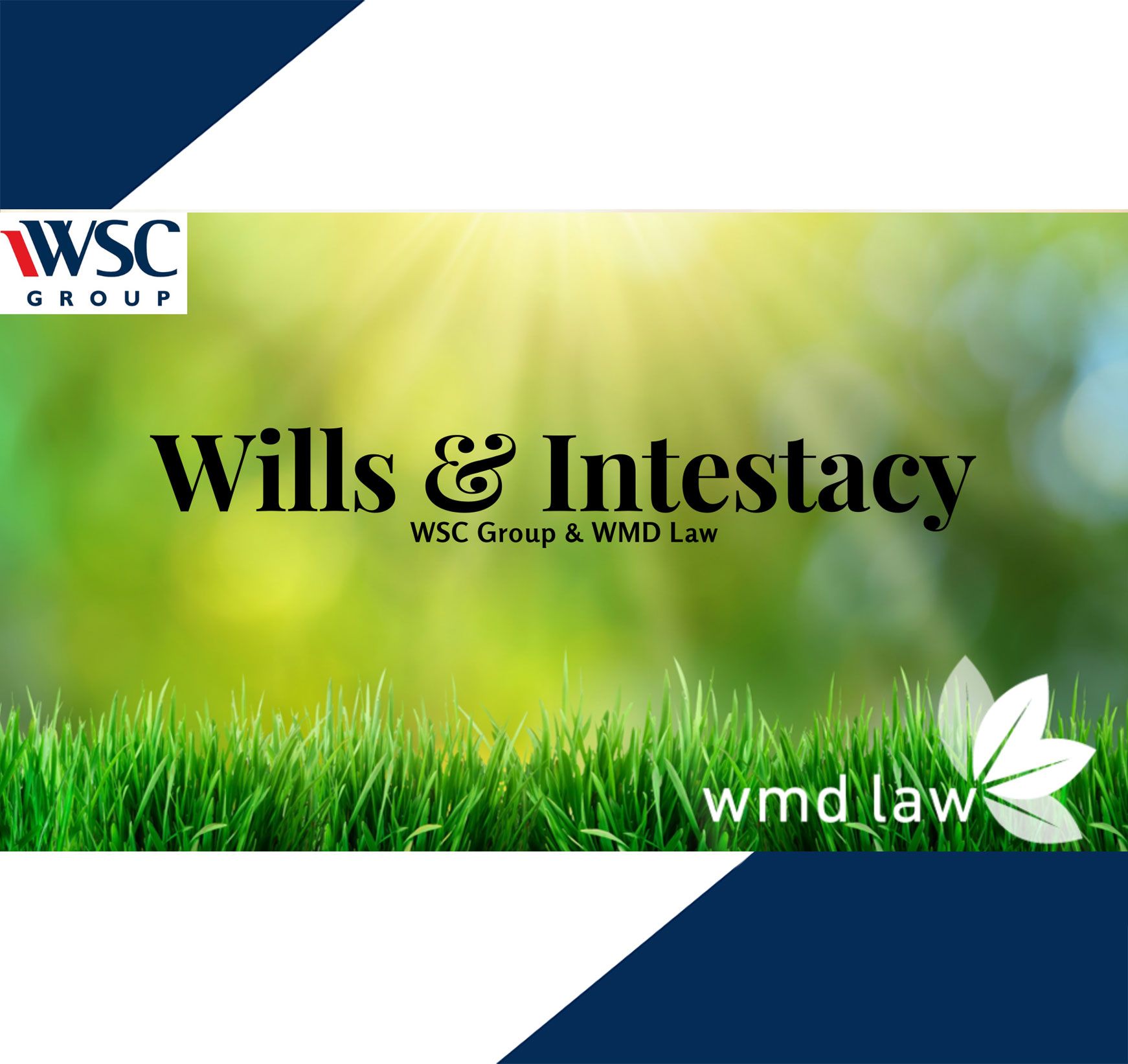 Wills & Intestacy