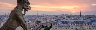 Toits de Paris Gargouille - Paris et Hauts-De-Seine - Chasseur d'appartement - Immobilier de luxe