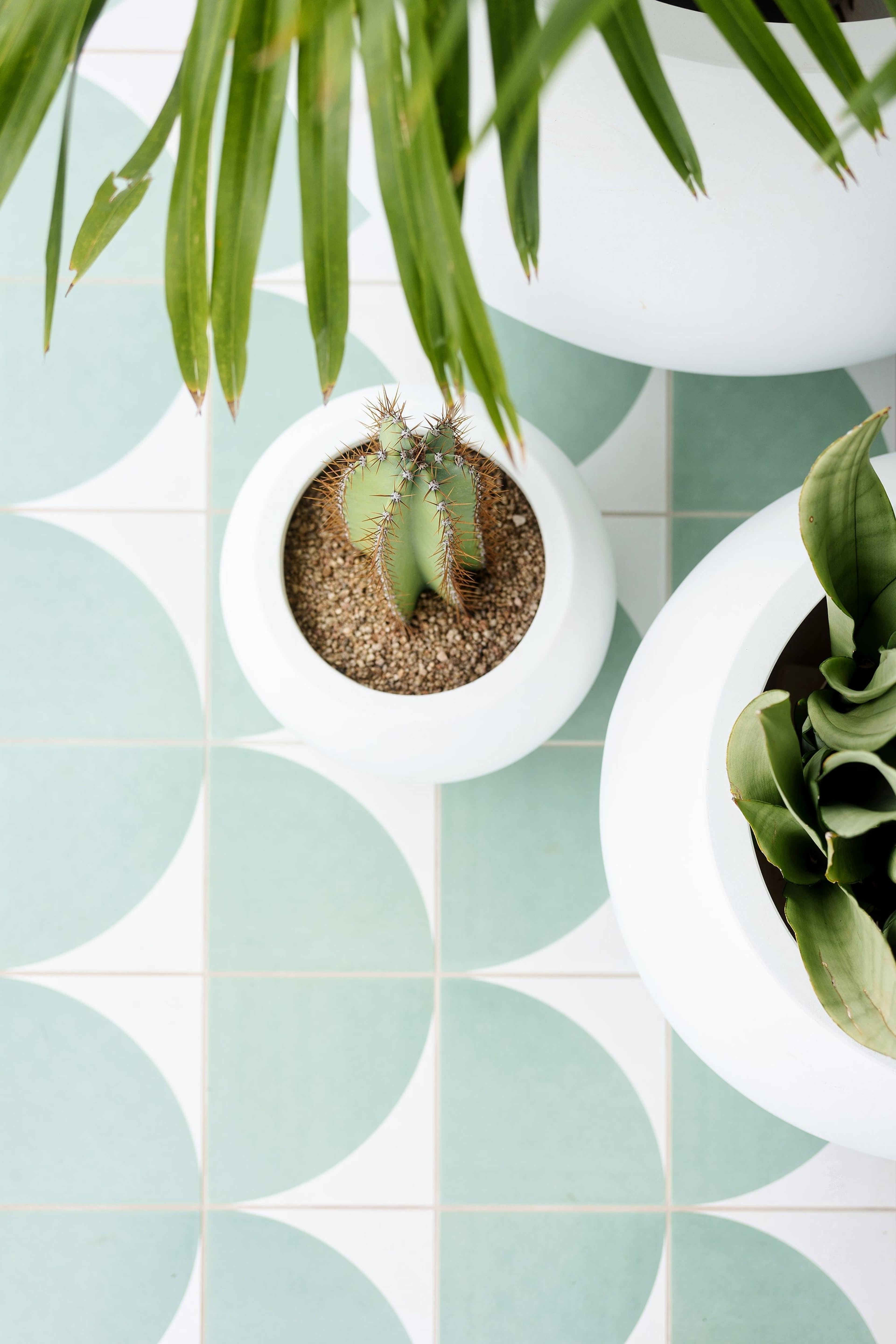 TileCloud TILE Adore Green Arch