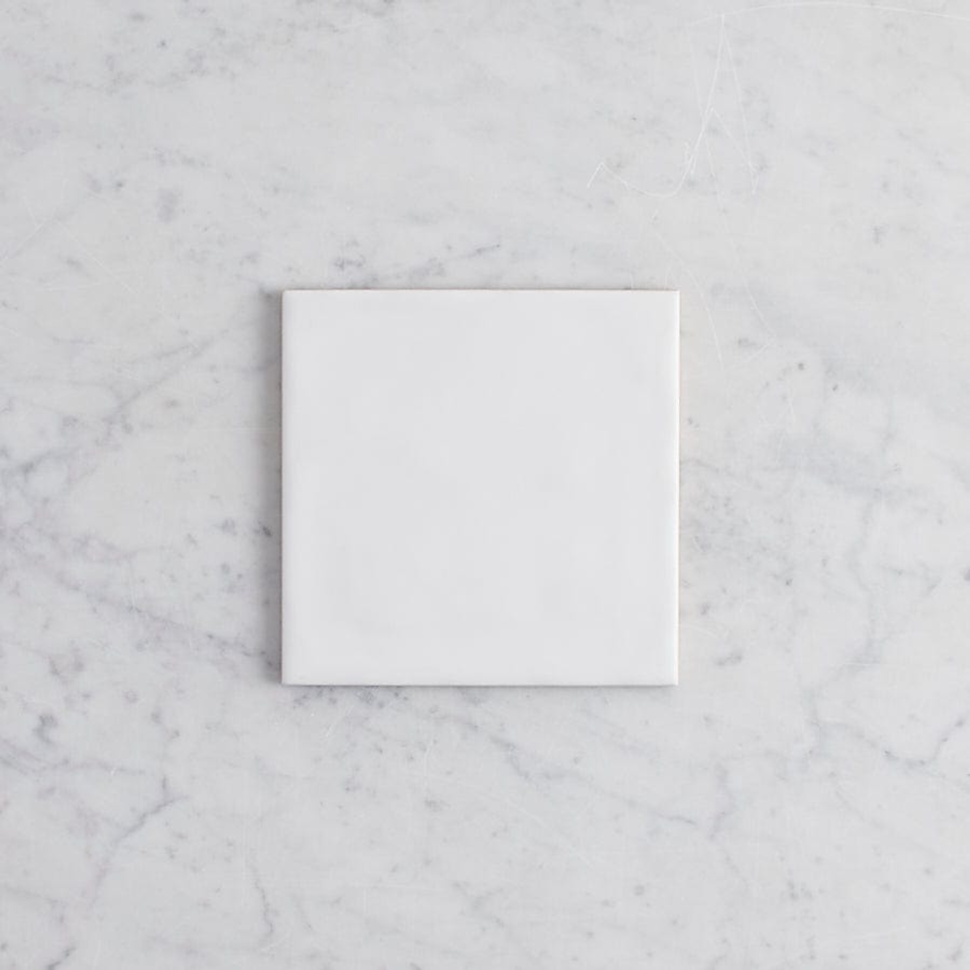 Newport Matte Large Square White Tile | TileCloud