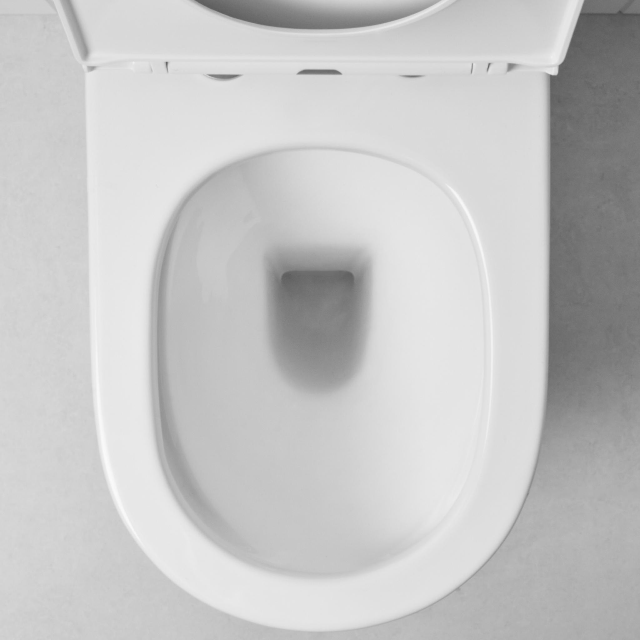 Angled In-Wall Toilet With Rectangle Warm Brushed Nickel Buttons ...