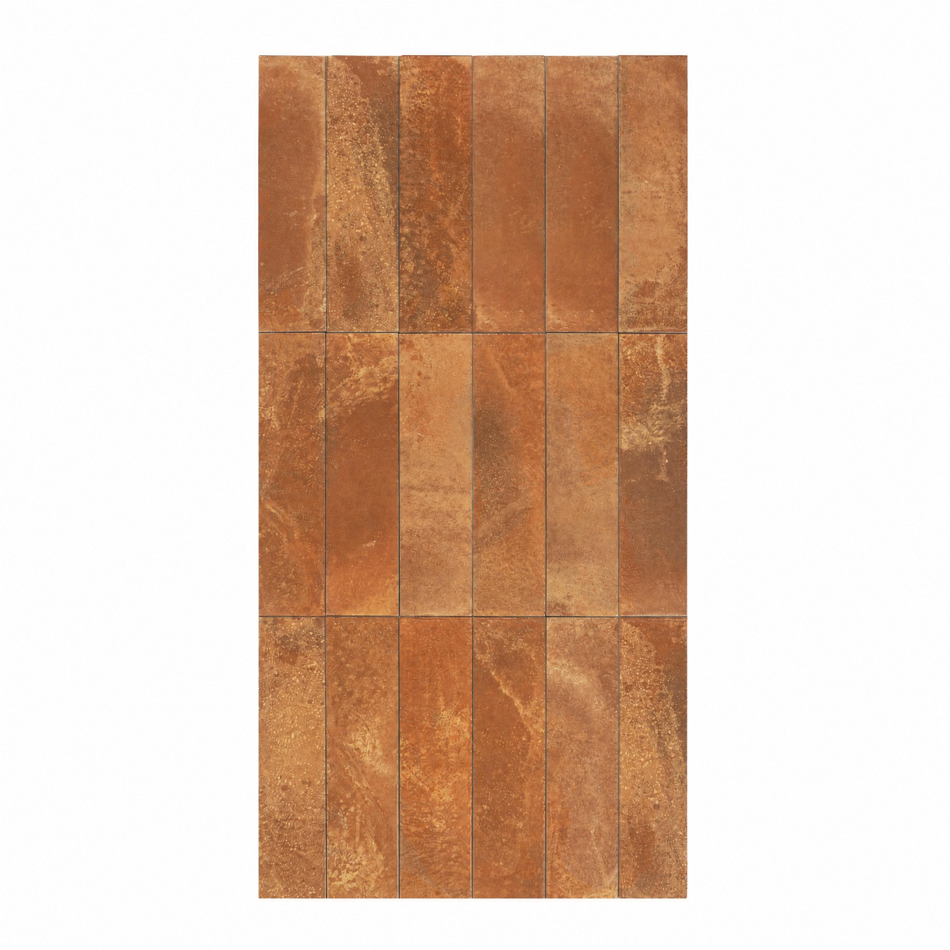 Terracotta Diana Subway Tile (MPB073062) · photo 2026