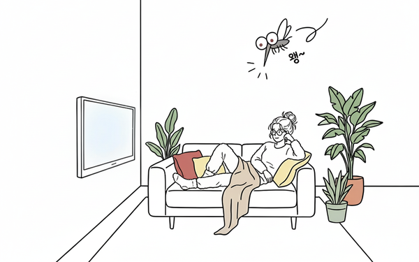 지금 12월인데... 모기 넌 도대체 어디서 왔니?