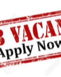 BUTCHER WANTED