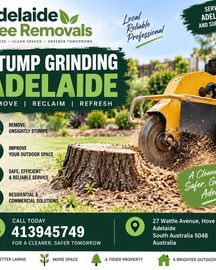 Professional Stump Grinding Adelaide Services | Adelaide Tree Removals