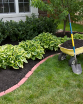 New South Wales Wollongong