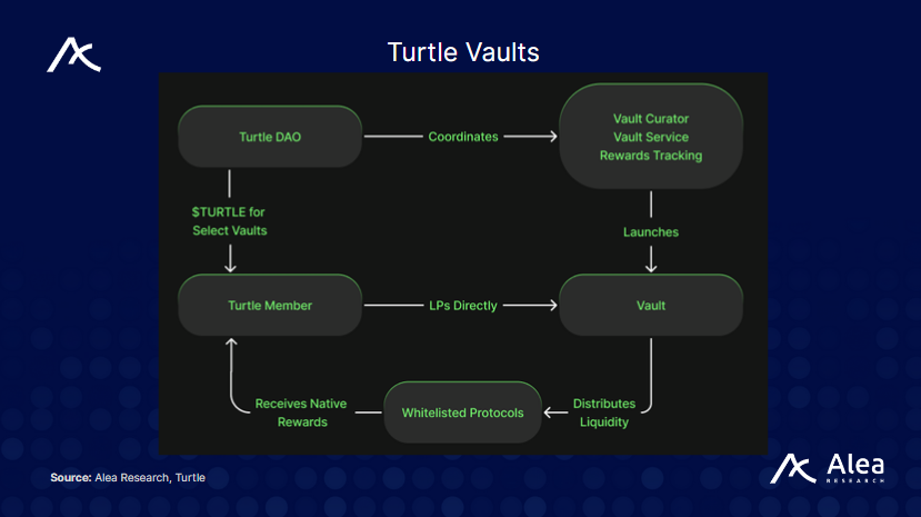 Turtle: Liquidity Distribution Layer - What You Need to Know