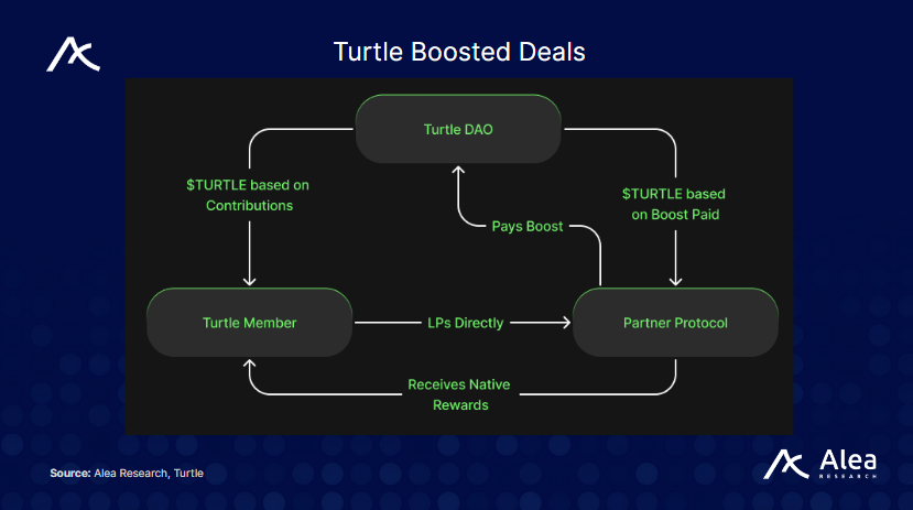 Turtle: Liquidity Distribution Layer - What You Need to Know