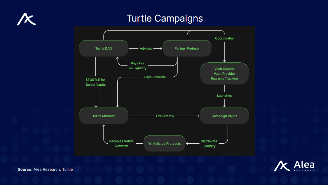 Turtle: Liquidity Distribution Layer - What You Need to Know