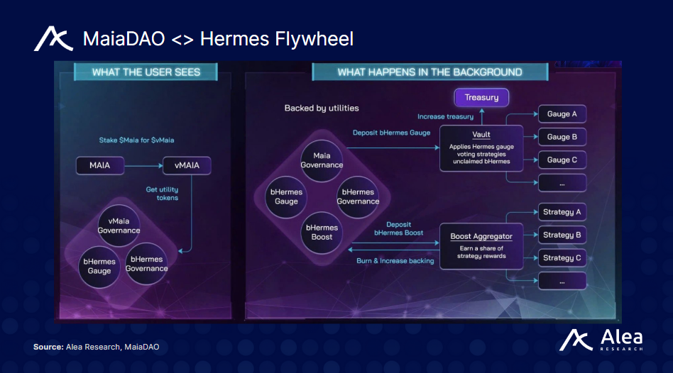 MaiaDAO: Crosschain Liquidity Expansion - What You Need to Know