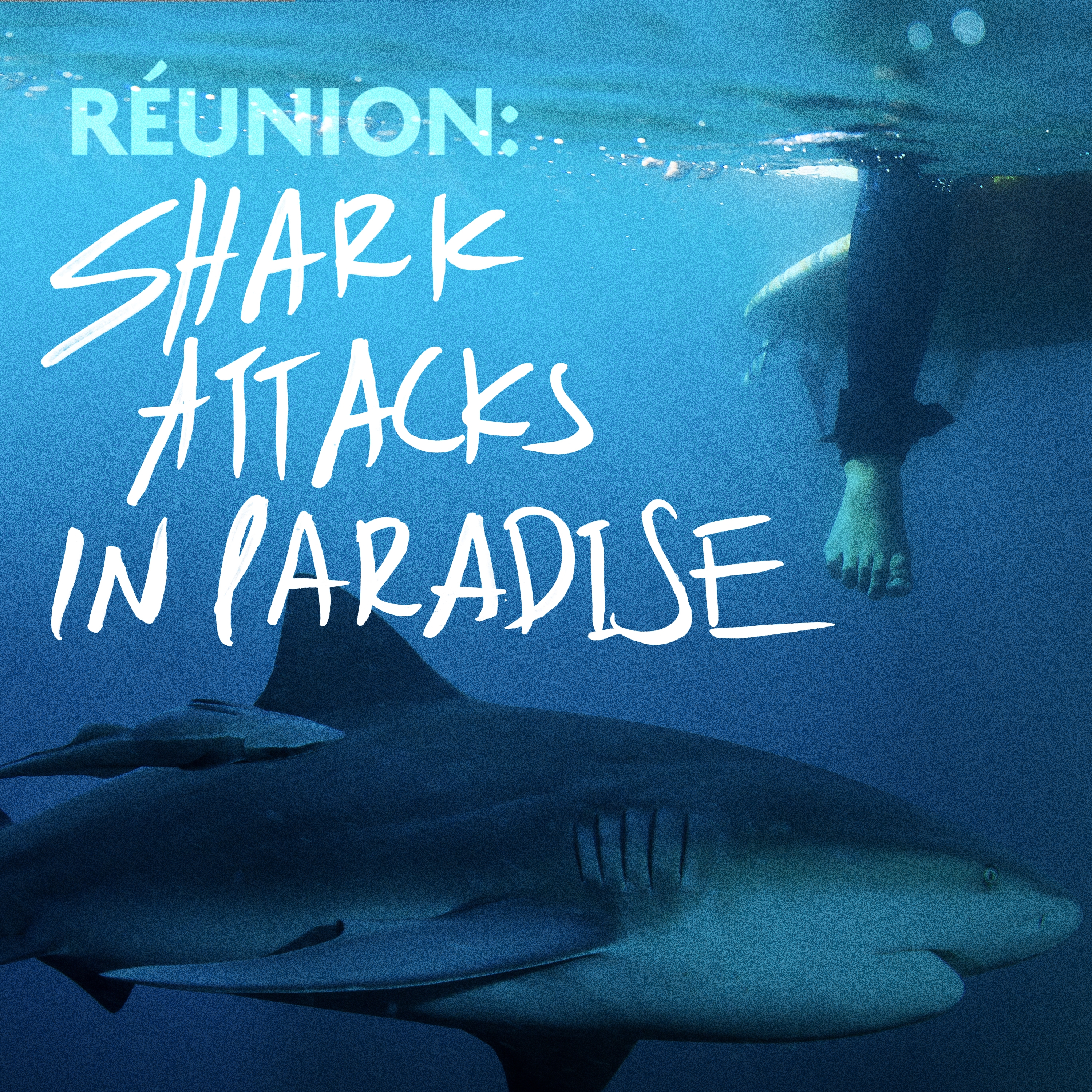 Réunion: Shark Attacks in Paradise