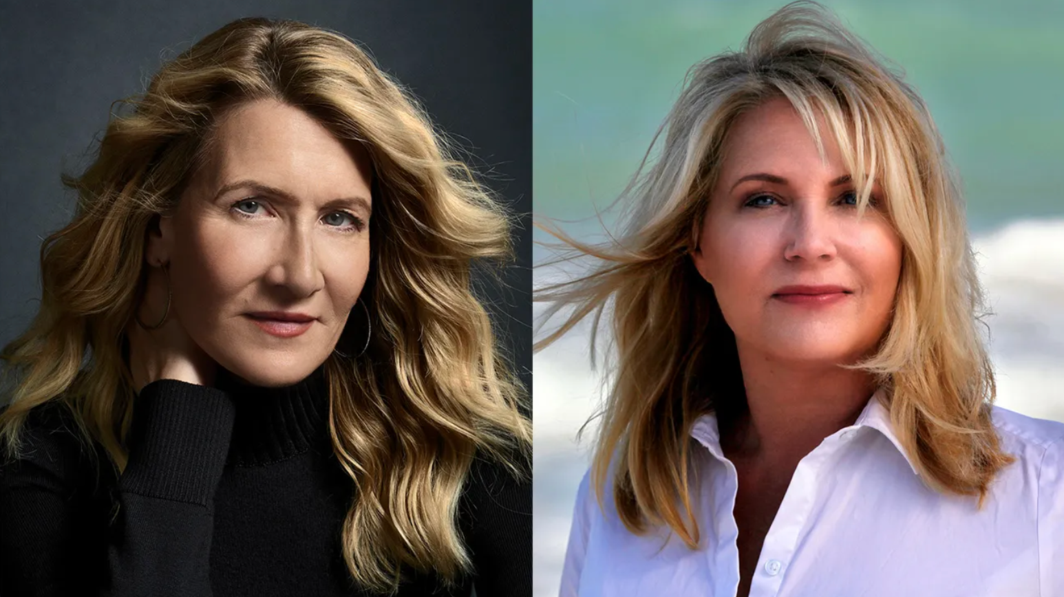 Laura Dern to Star in Jeffrey Epstein Investigation Drama From Sony