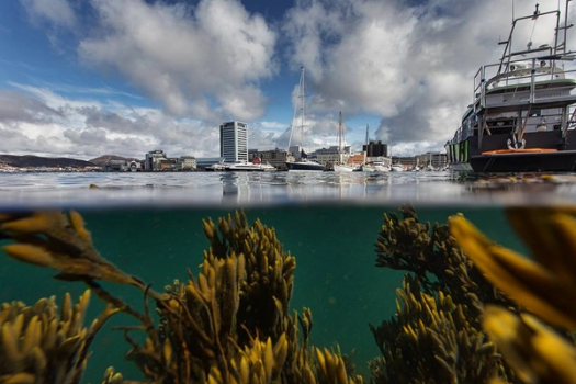 Scandic Havet, Bodø