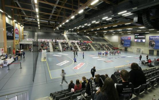 Terningen Arena, Flerbruksanlegg Elverum