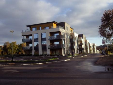 Trymsvei - boliganlegg - ferdig 2012