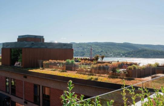 Grande Panorama takterrasse med Borhaven Arkitekter
